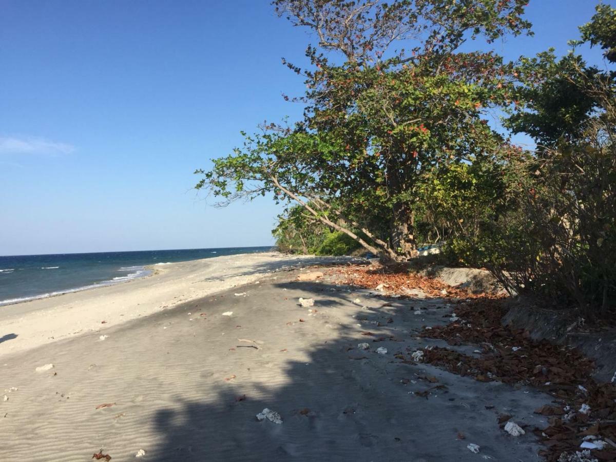 Wera Beach Kadumbul Ngoại thất bức ảnh